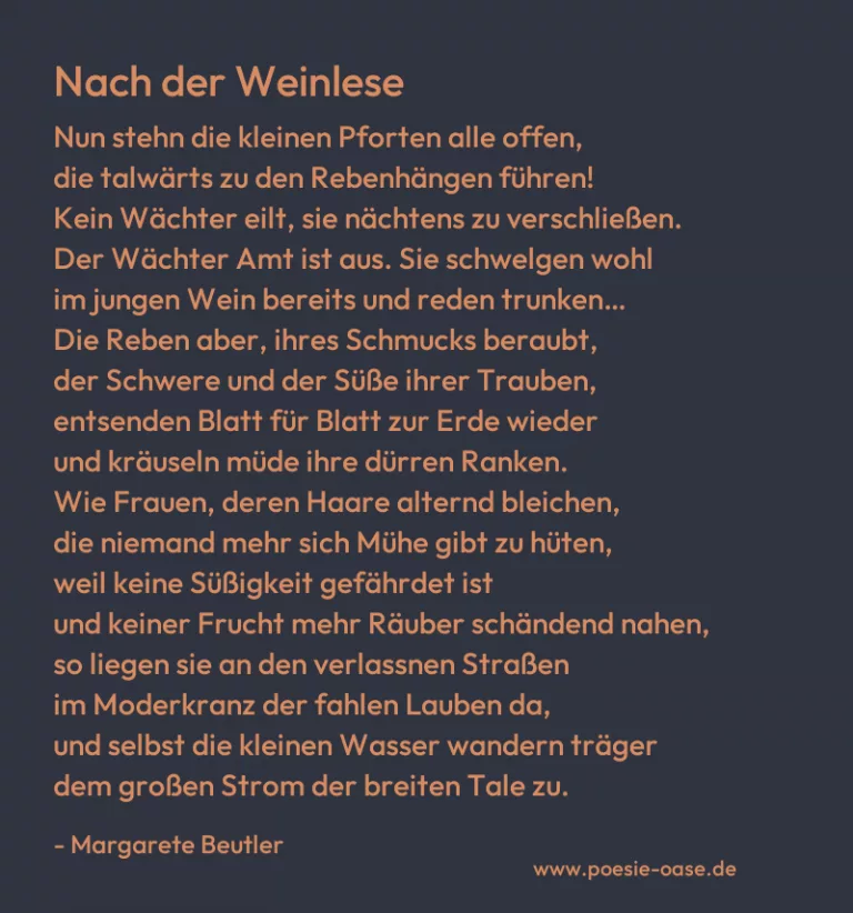 Nach der Weinlese