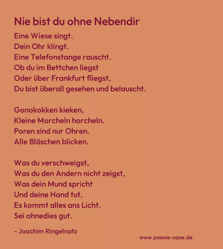 Nie bist du ohne Nebendir
