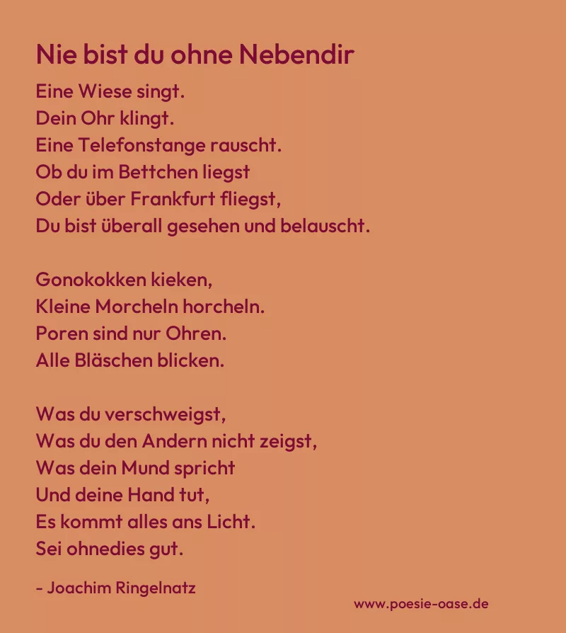 Gedicht: Nie bist du ohne Nebendir von Joachim Ringelnatz