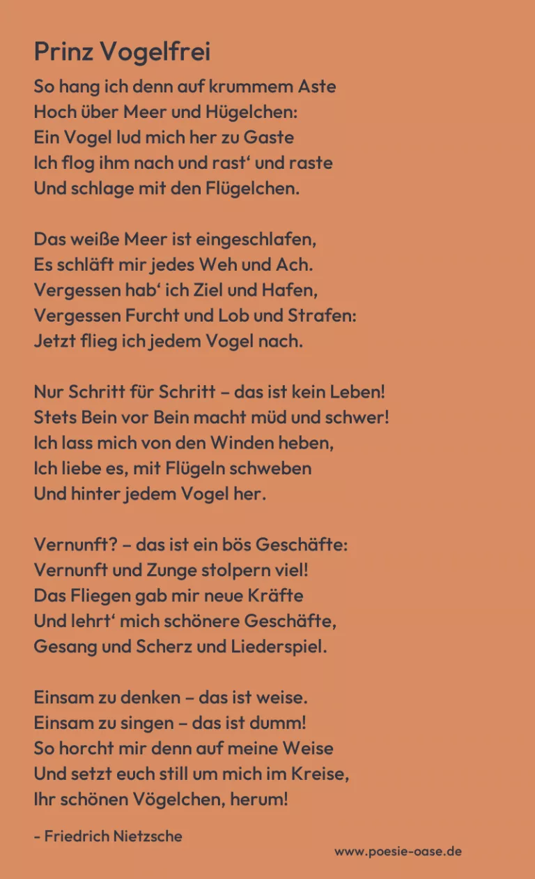 Prinz Vogelfrei