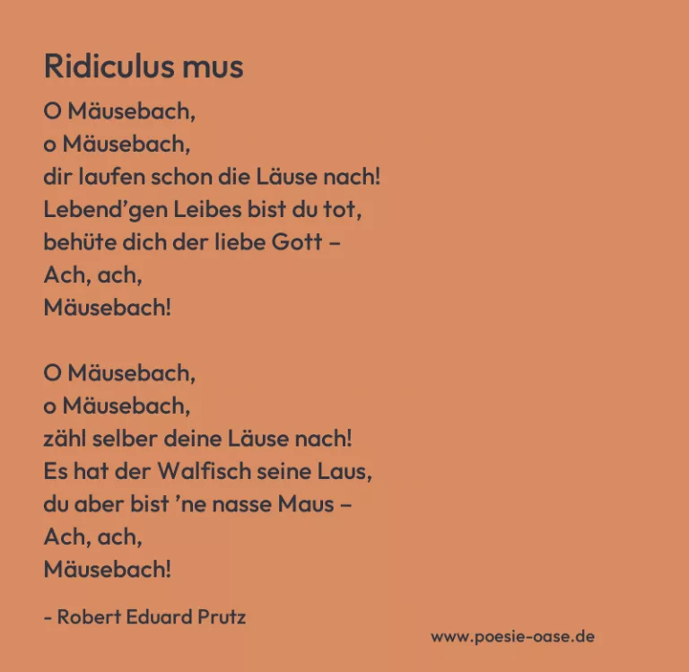 Ridiculus mus