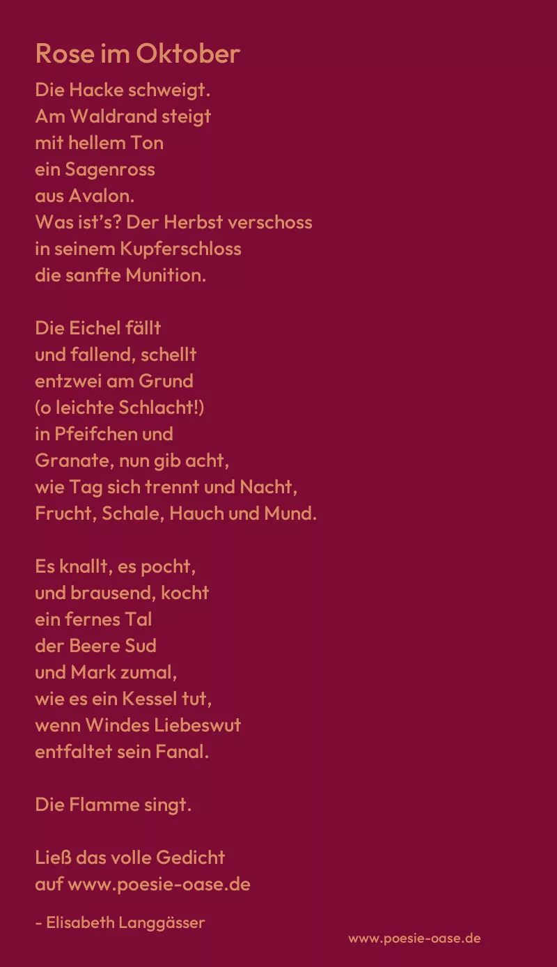 Gedicht: Rose im Oktober von Elisabeth Langgässer
