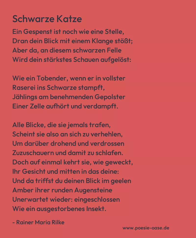 Gedicht: Schwarze Katze von Rainer Maria Rilke