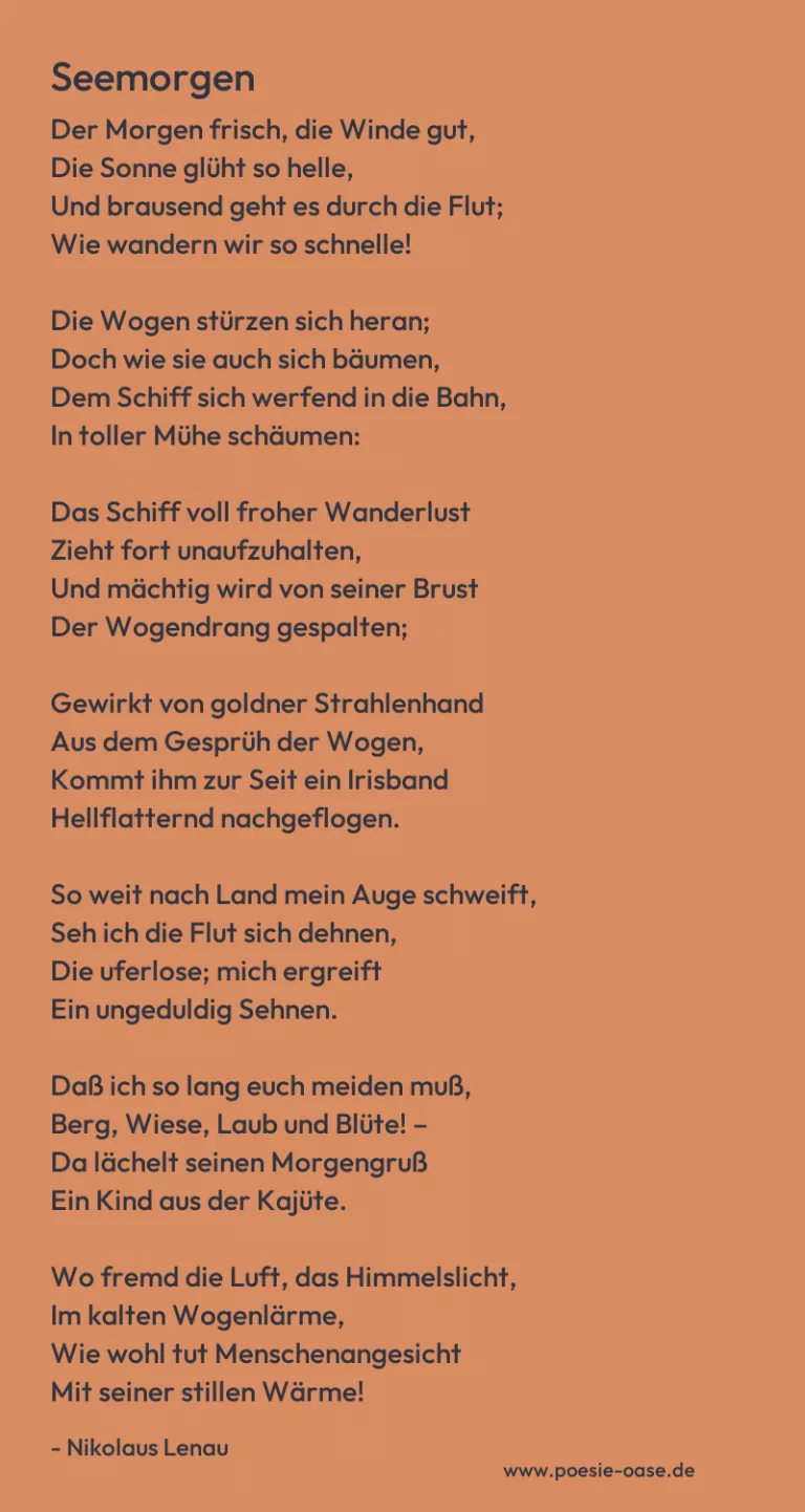 Seemorgen