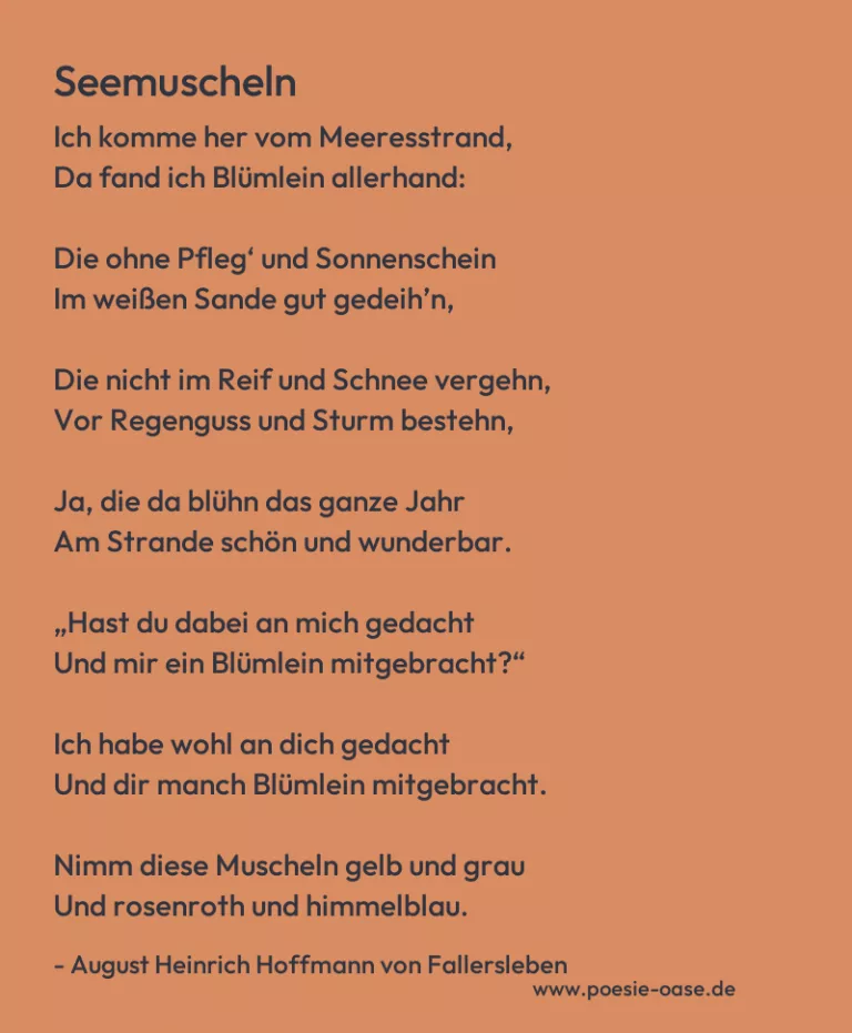 Seemuscheln
