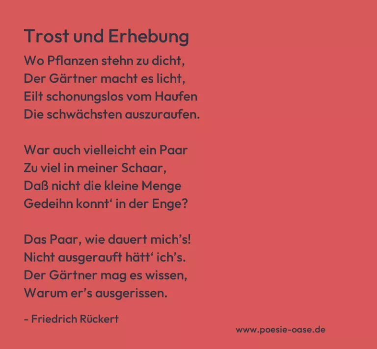 Trost und Erhebung