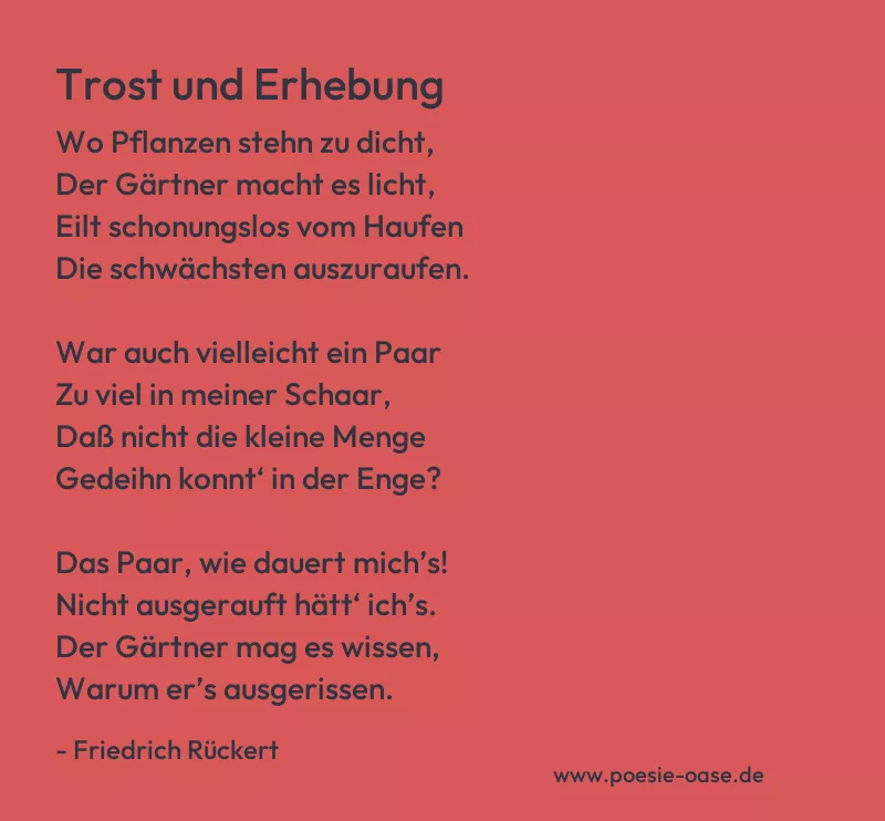 Gedicht: Trost und Erhebung von Friedrich Rückert