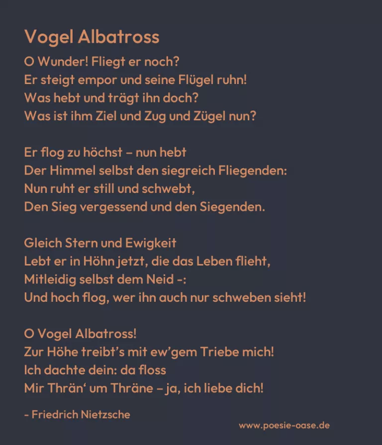 Vogel Albatross