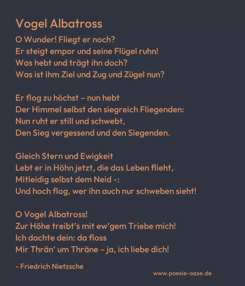 Gedicht: Vogel Albatross von Friedrich Nietzsche