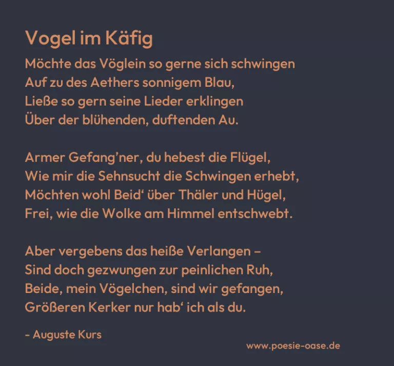 Vogel im Käfig