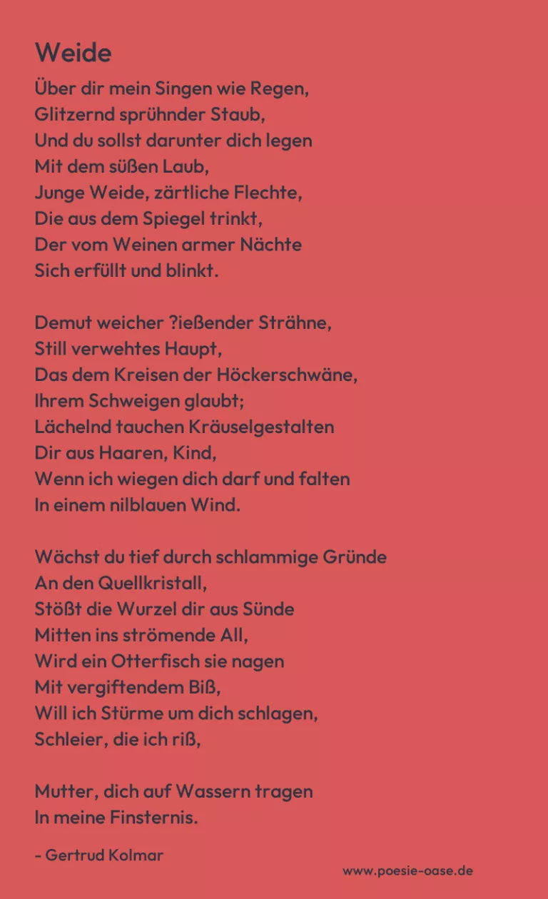 Weide