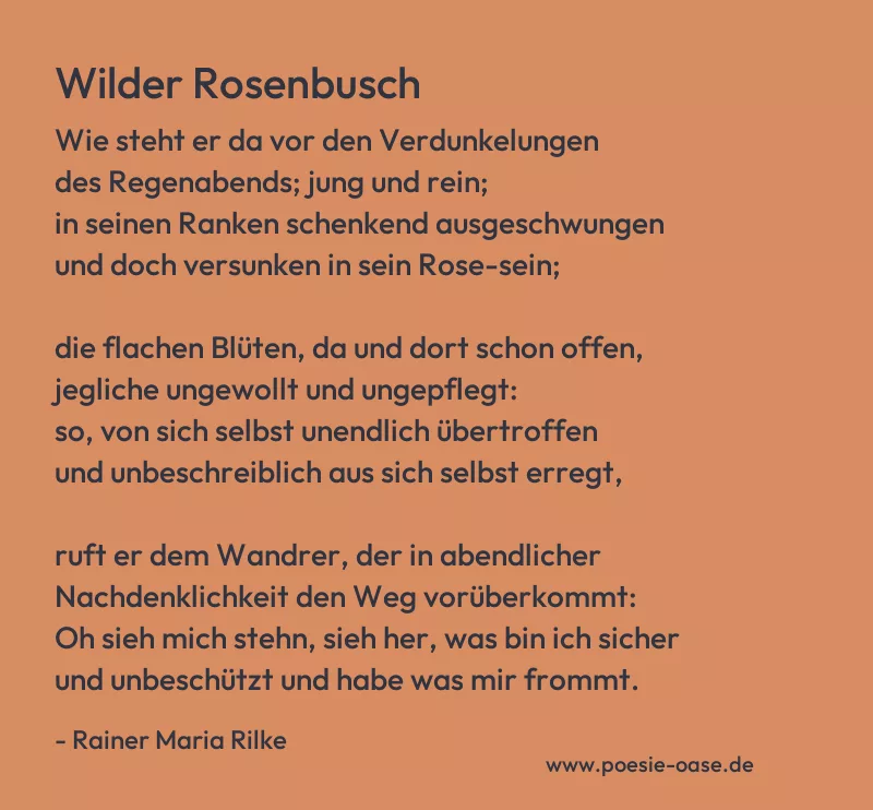 Gedicht: Wilder Rosenbusch von Rainer Maria Rilke