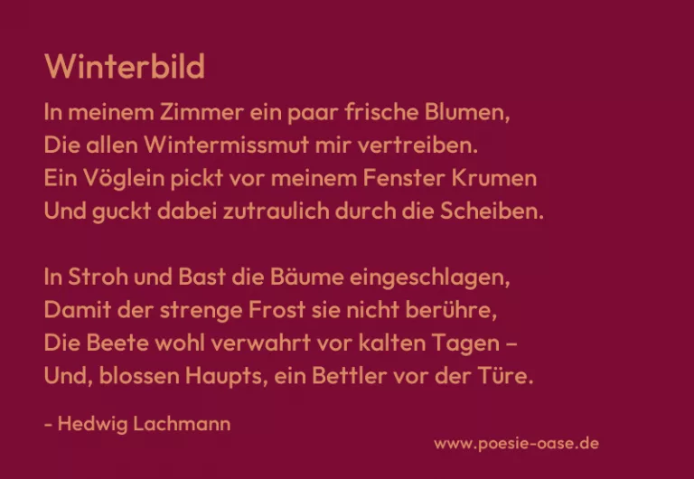 Winterbild