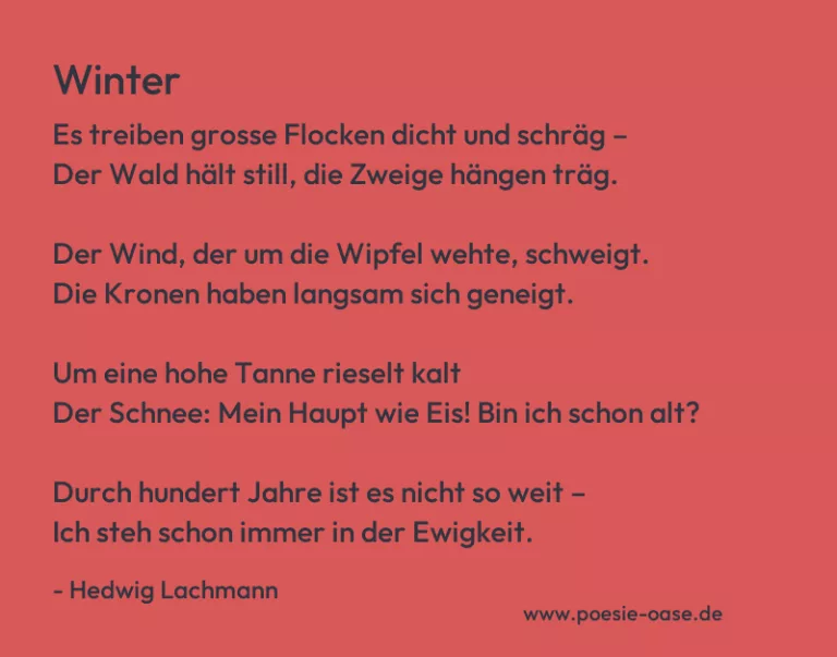 Winter