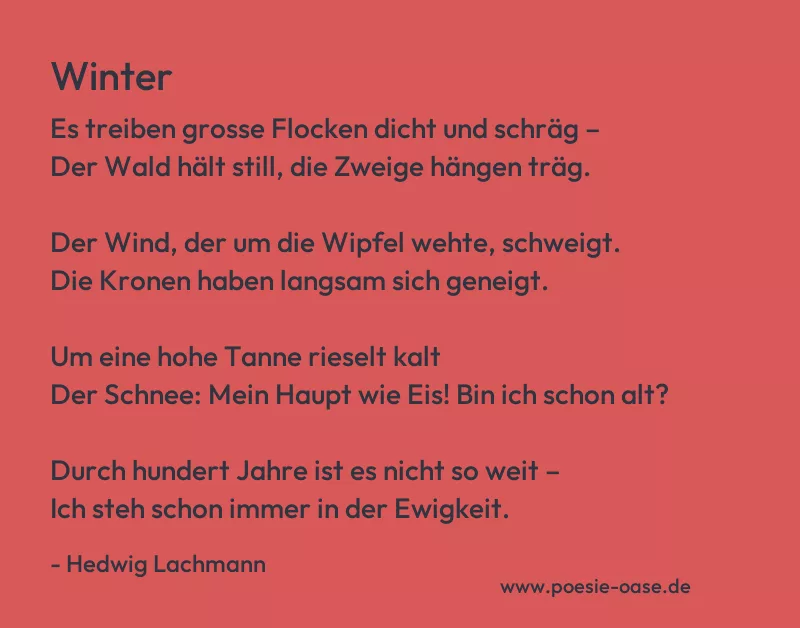 Gedicht: Winter von Hedwig Lachmann