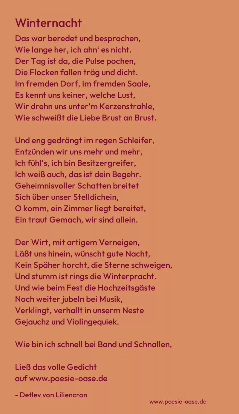 Gedicht: Winternacht von Detlev von Liliencron