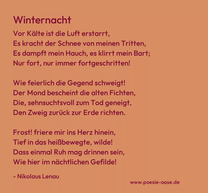 Gedicht: Winternacht von Nikolaus Lenau