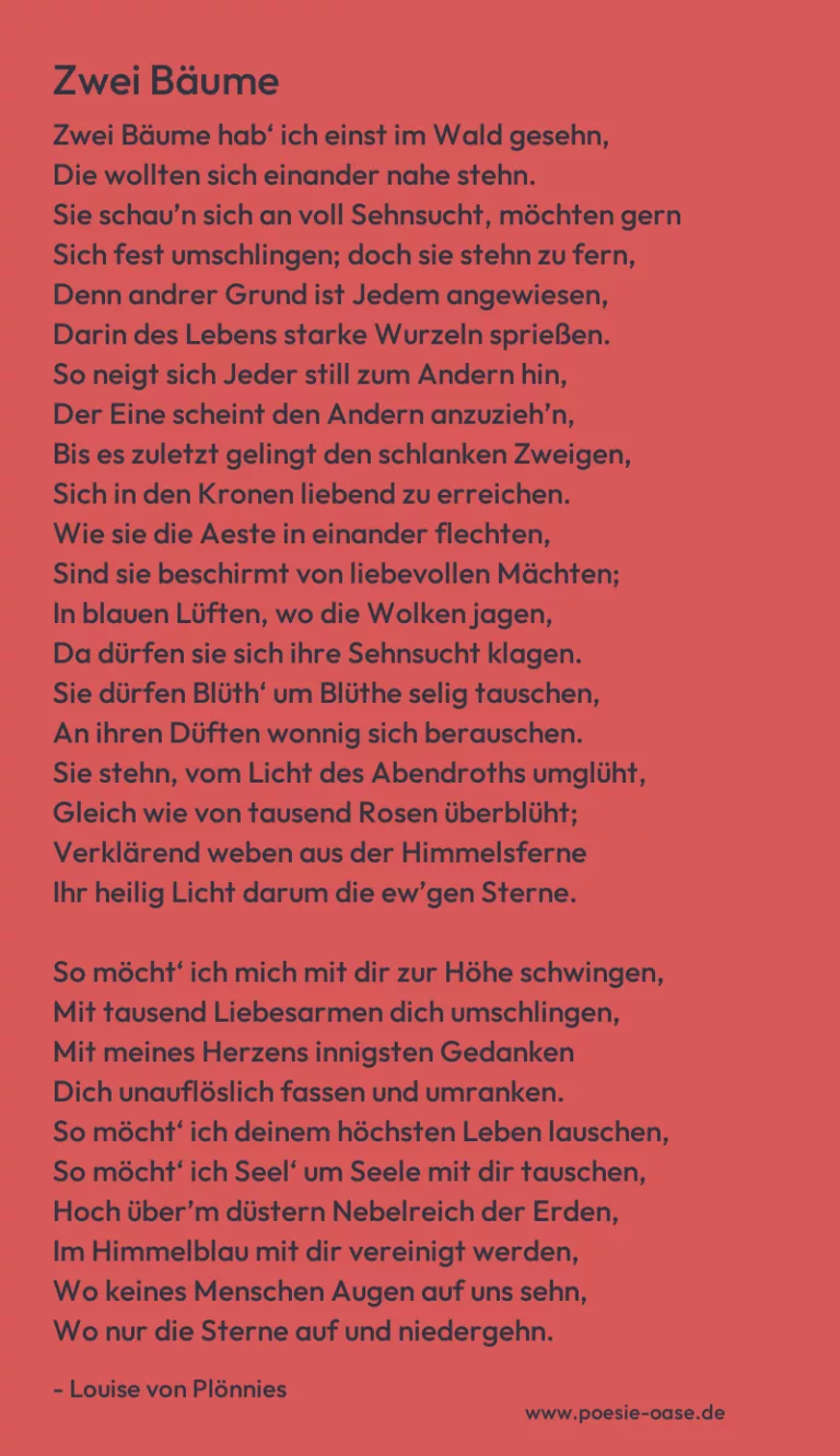 Zwei Bäume