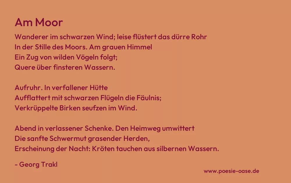Gedicht: Am Moor von Georg Trakl