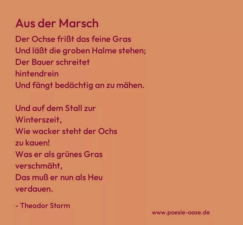 Gedicht: Aus der Marsch von Theodor Storm