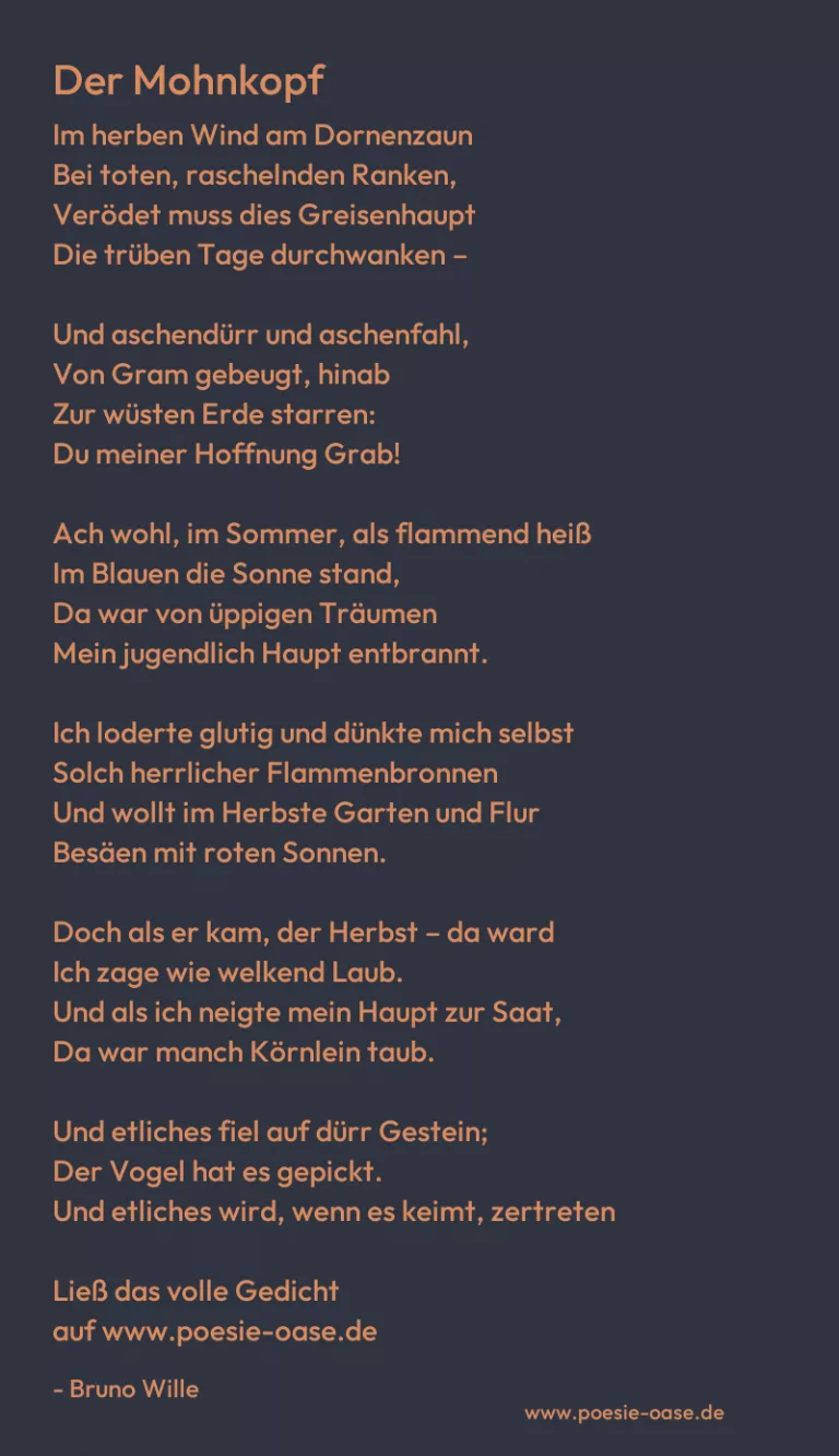 Der Mohnkopf