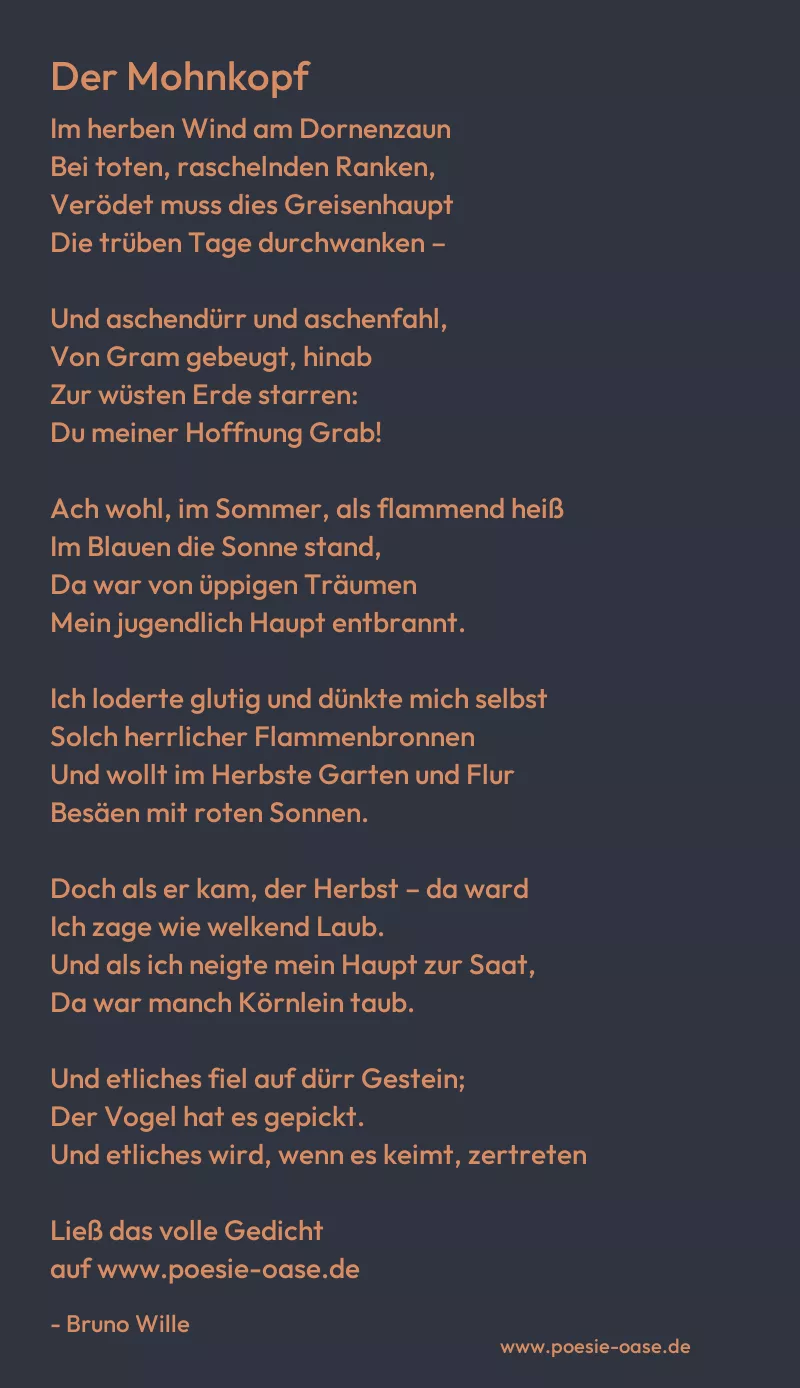 Gedicht: Der Mohnkopf von Bruno Wille