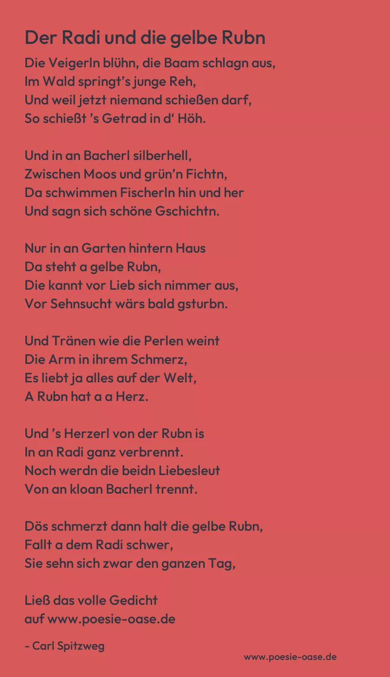 Gedicht: Der Radi und die gelbe Rubn von Carl Spitzweg