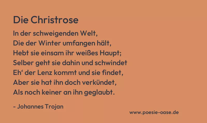 Gedicht: Die Christrose von Johannes Trojan