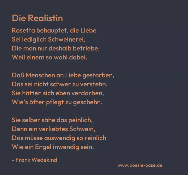Die Realistin