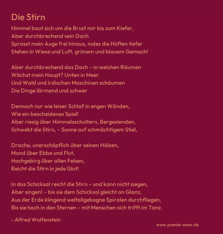 Die Stirn
