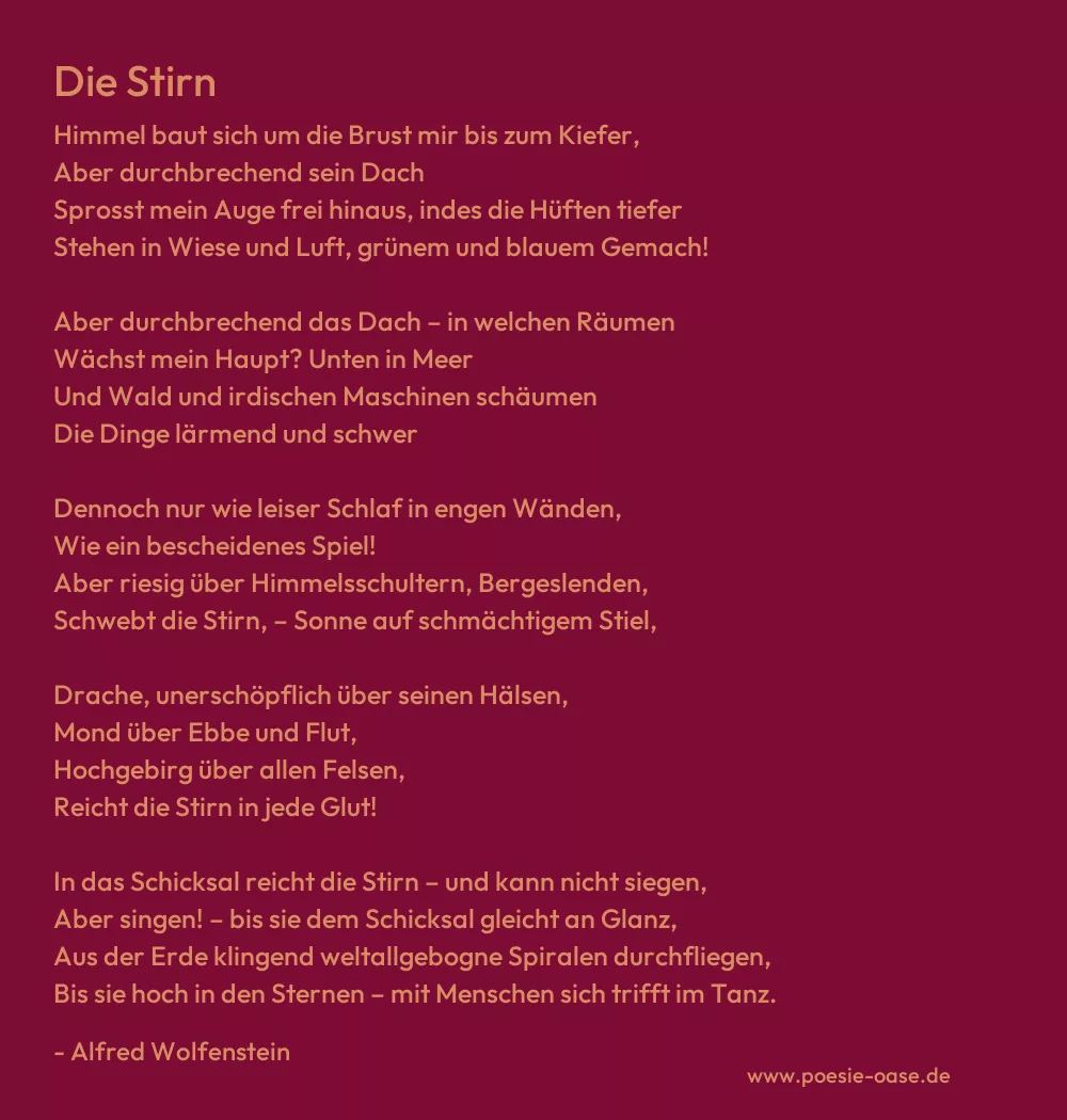 Gedicht: Die Stirn von Alfred Wolfenstein