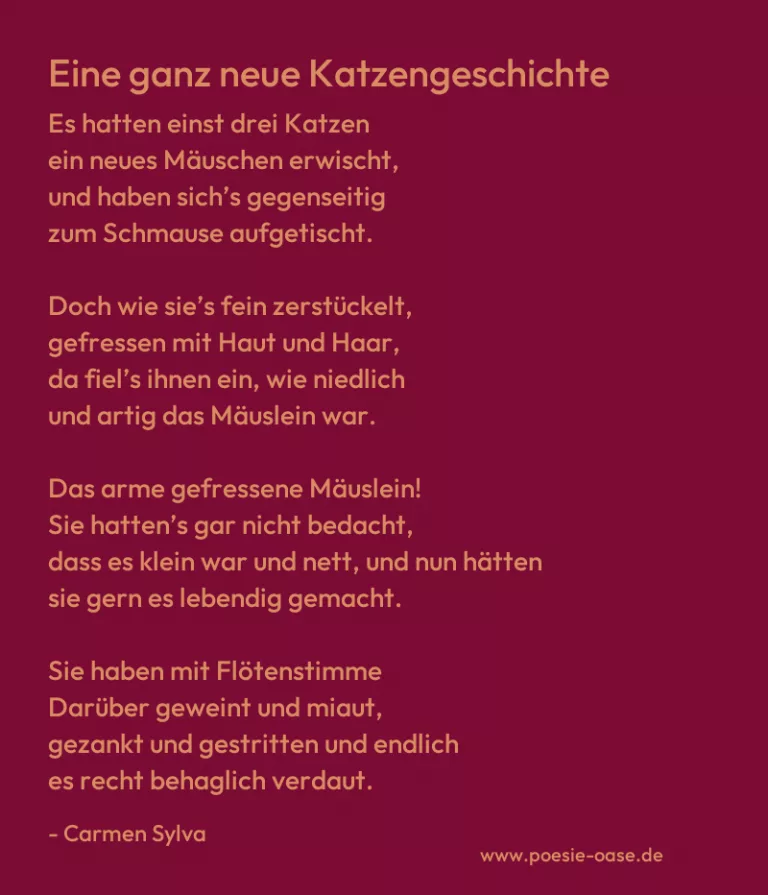 Eine ganz neue Katzengeschichte