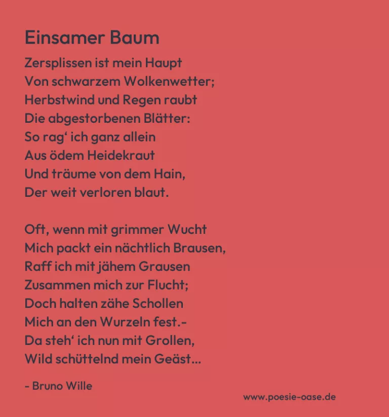 Einsamer Baum