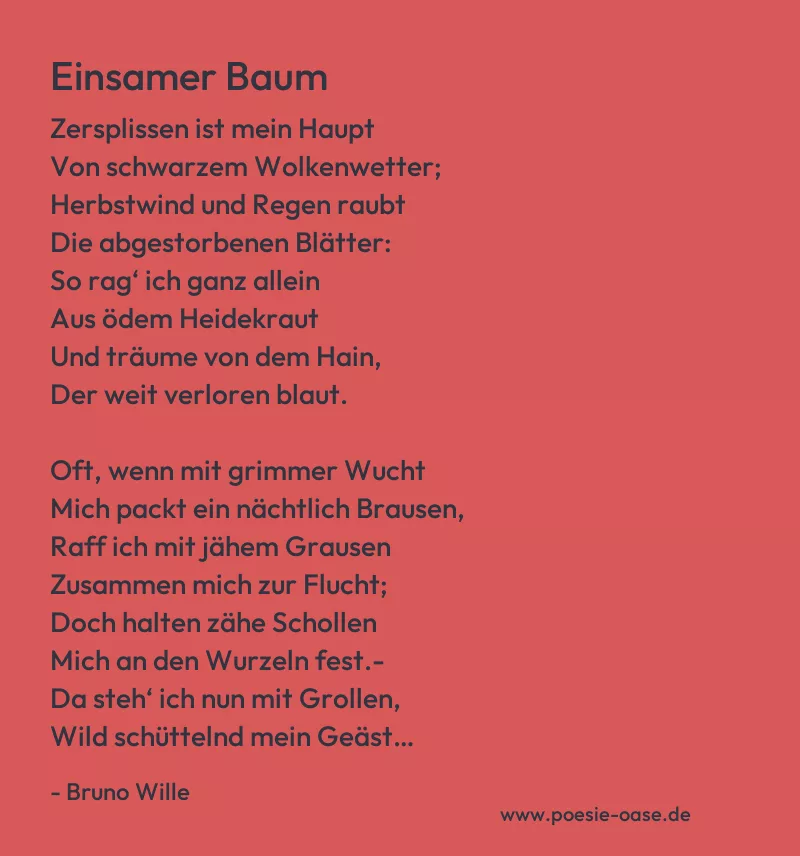 Gedicht: Einsamer Baum von Bruno Wille