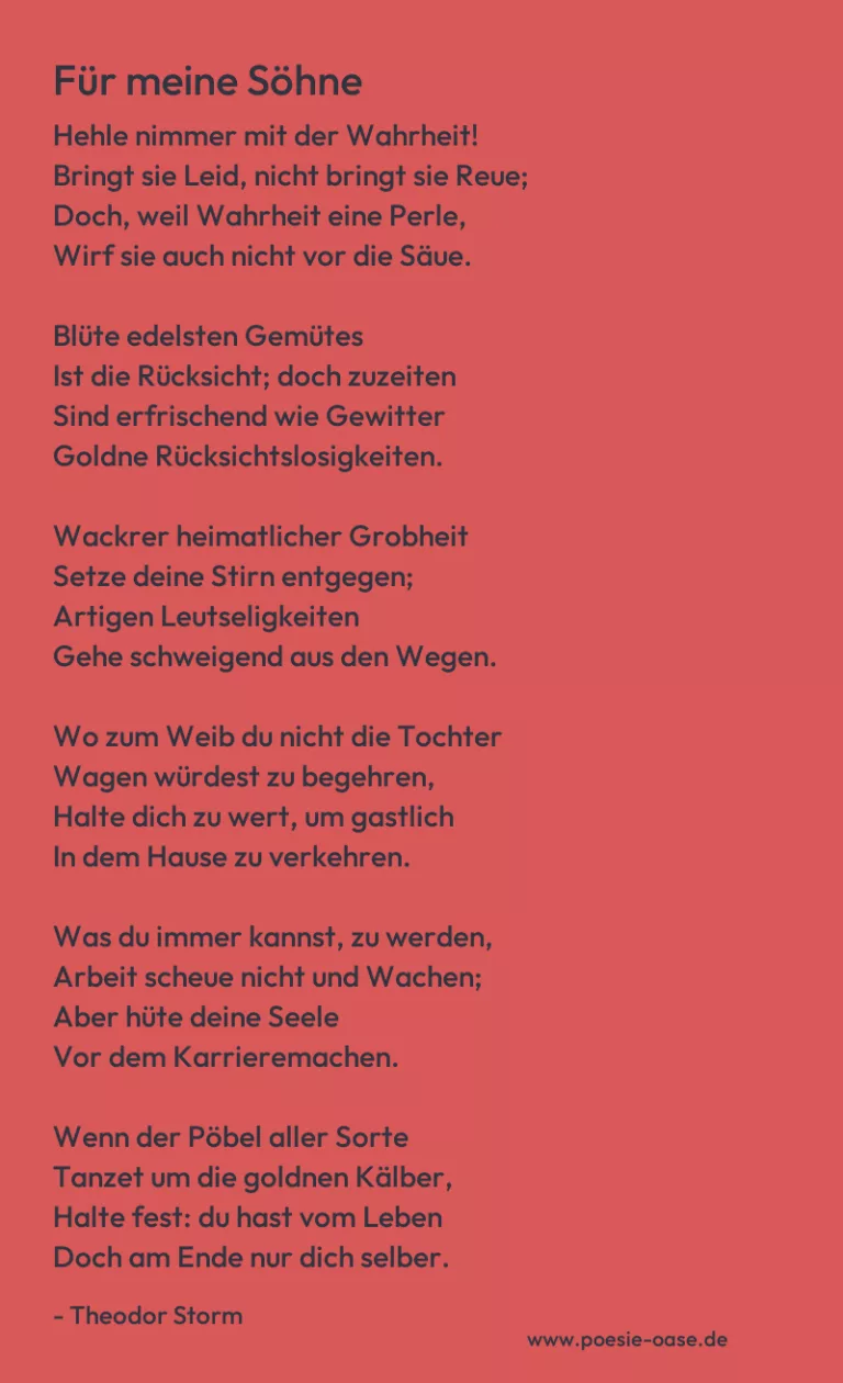 Für meine Söhne
