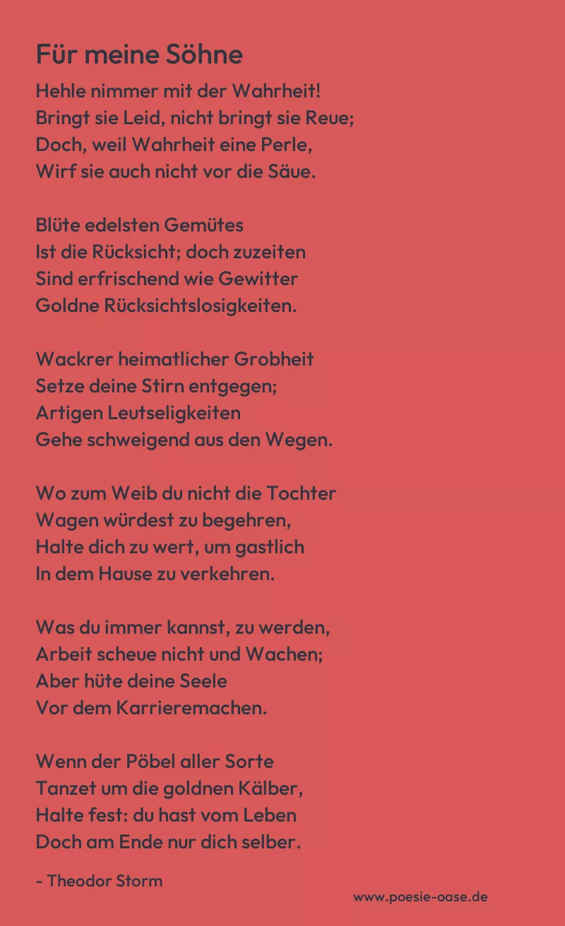 Gedicht: Für meine Söhne von Theodor Storm