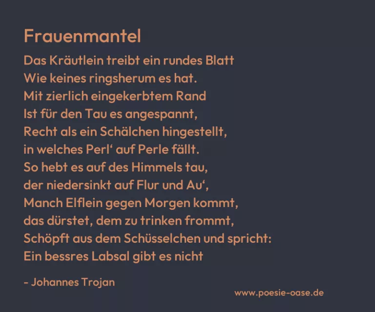 Frauenmantel