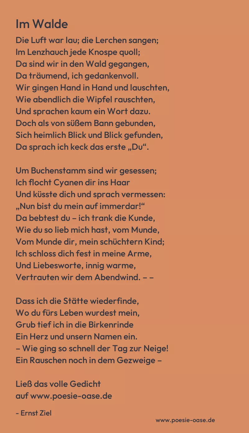 Gedicht: Im Walde von Ernst Ziel