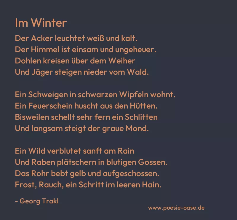Gedicht: Im Winter von Georg Trakl