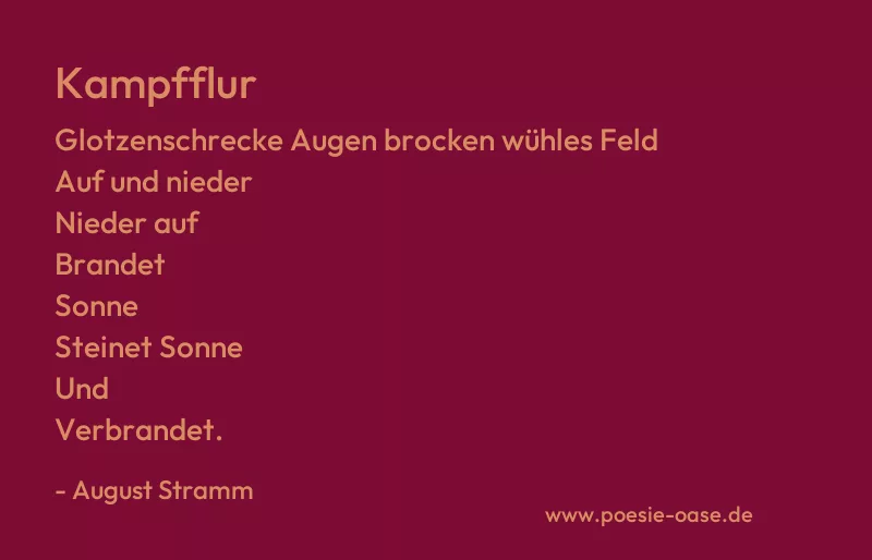 Gedicht: Kampfflur von August Stramm