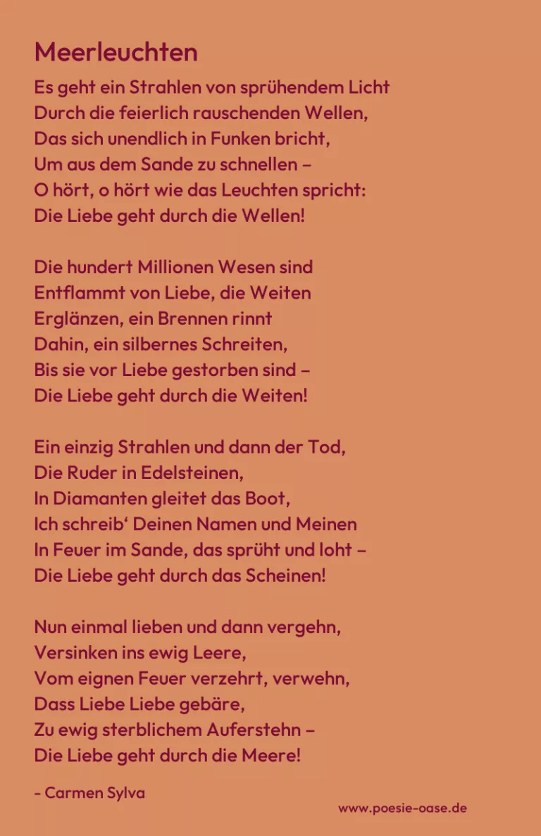 Meerleuchten