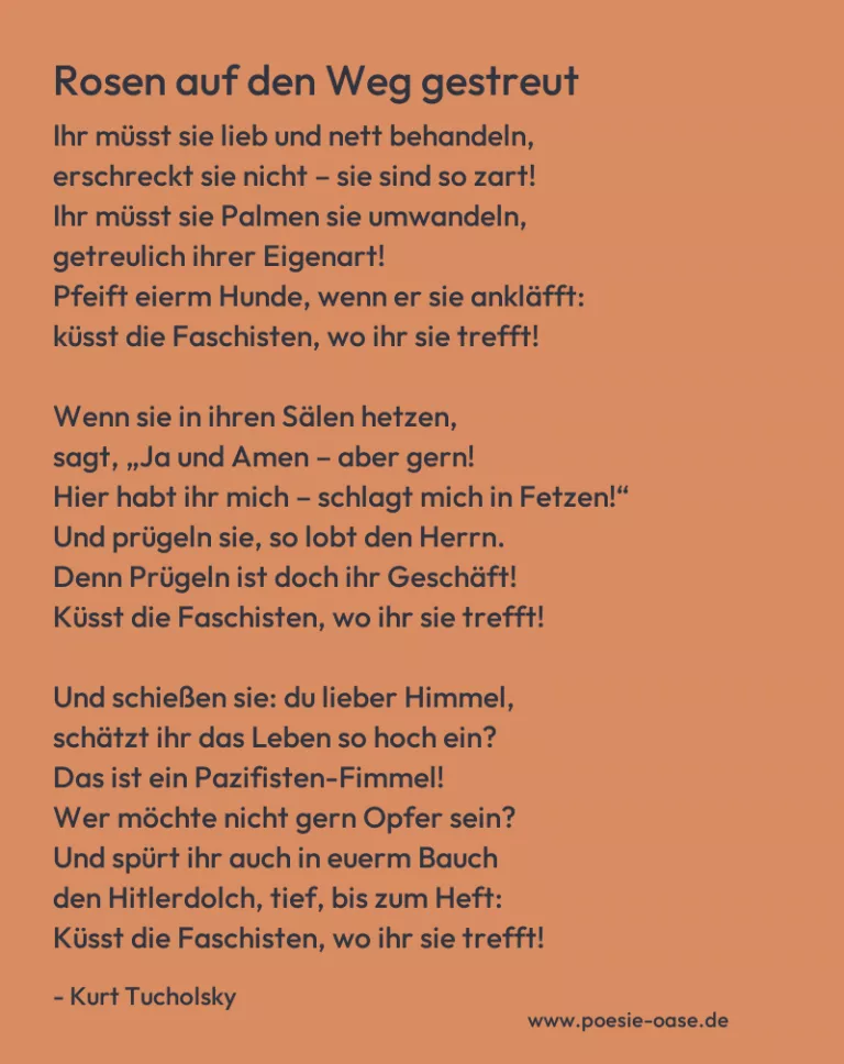 Rosen auf den Weg gestreut