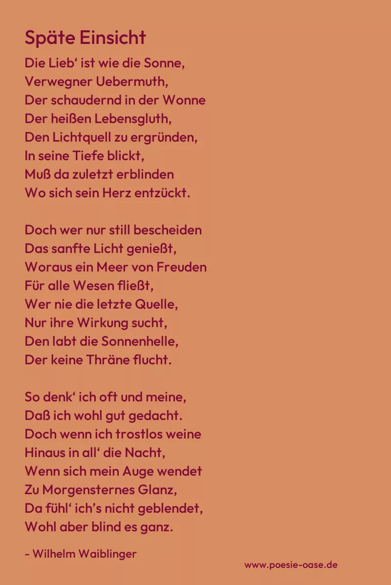 Gedicht: Späte Einsicht von Wilhelm Waiblinger