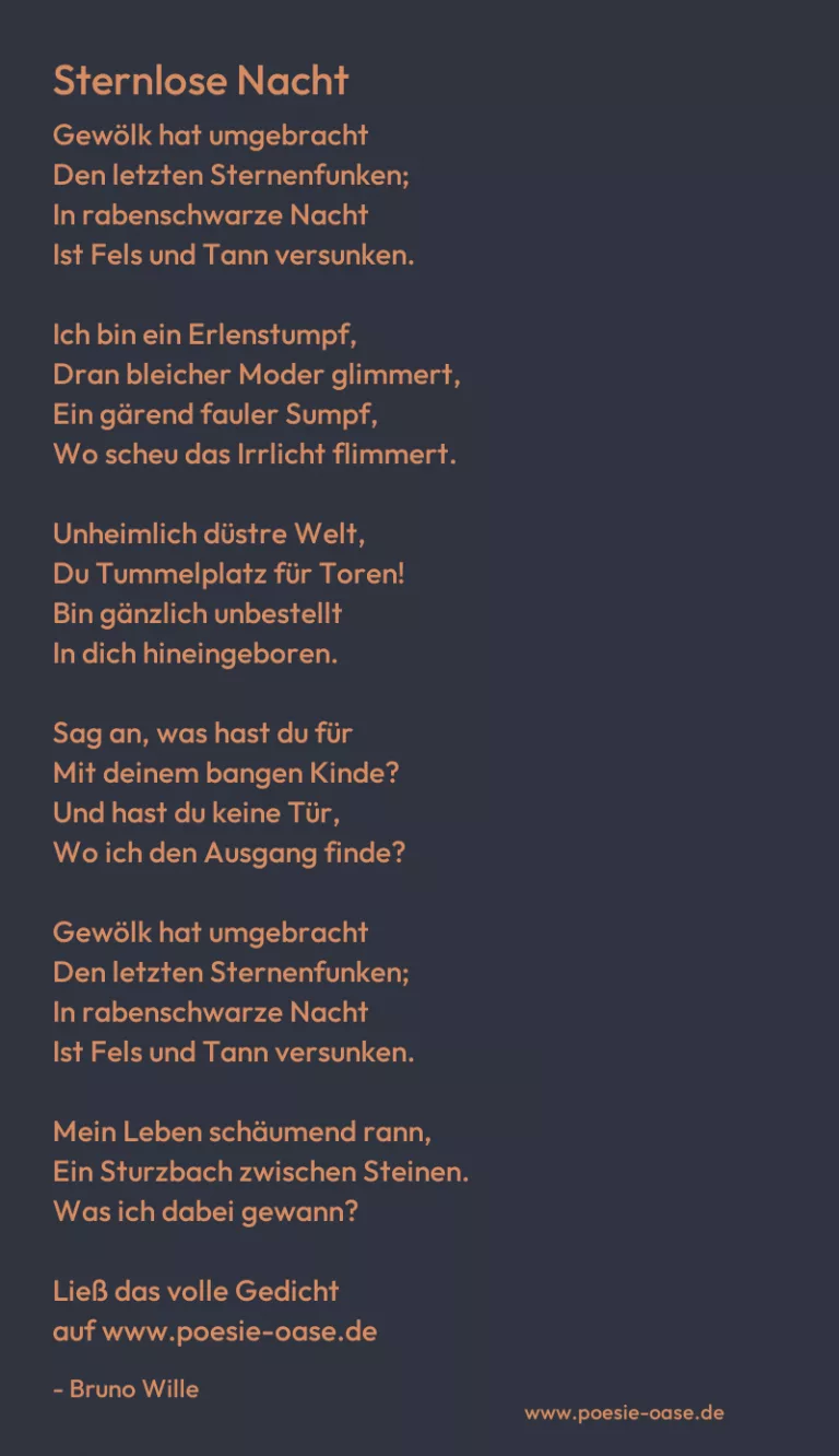 Sternlose Nacht