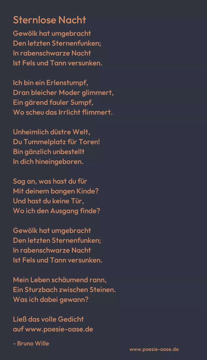 Gedicht: Sternlose Nacht von Bruno Wille