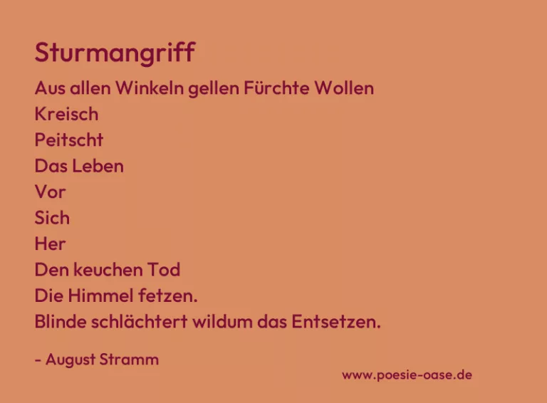 Sturmangriff