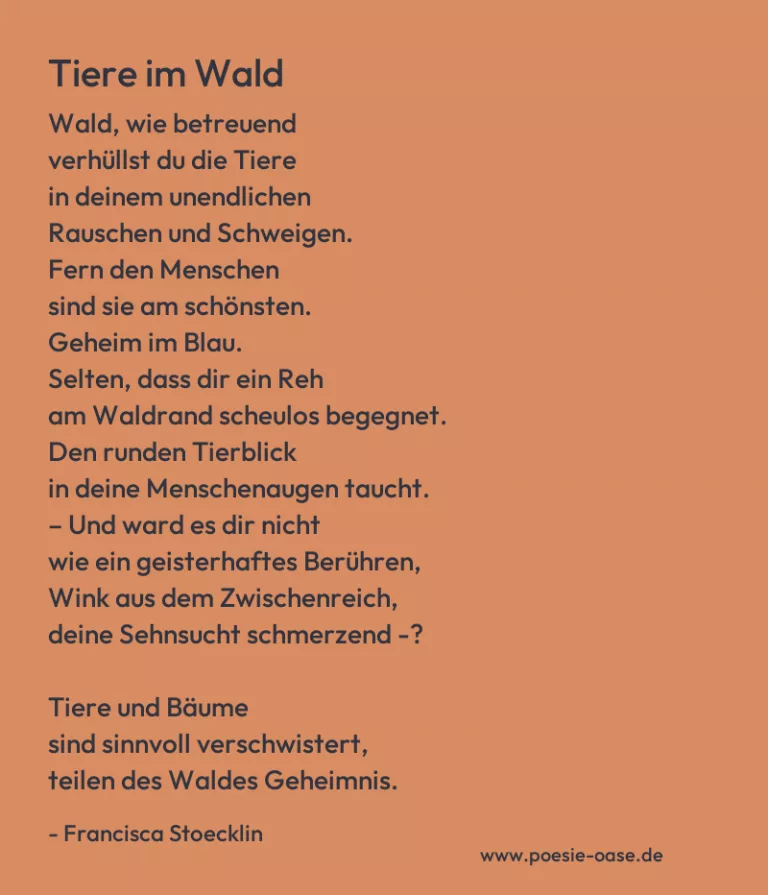 Tiere im Wald