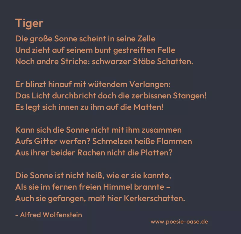 Gedicht: Tiger von Alfred Wolfenstein