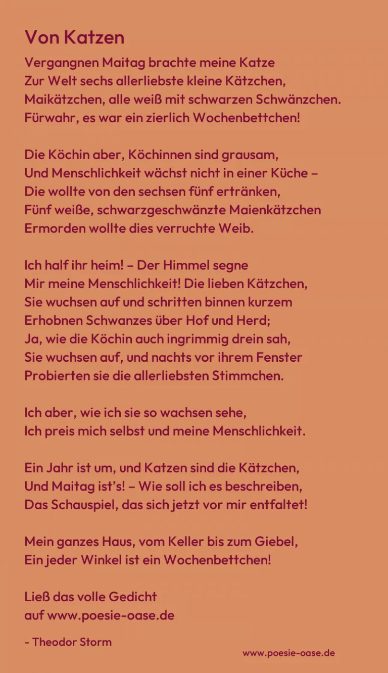 Von Katzen
