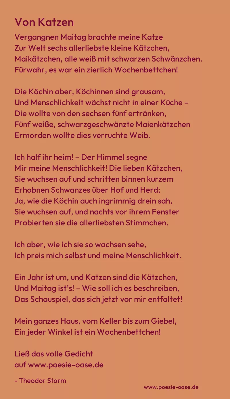 Gedicht: Von Katzen von Theodor Storm